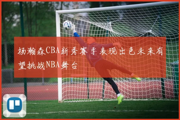 杨瀚森CBA新秀赛季表现出色未来有望挑战NBA舞台