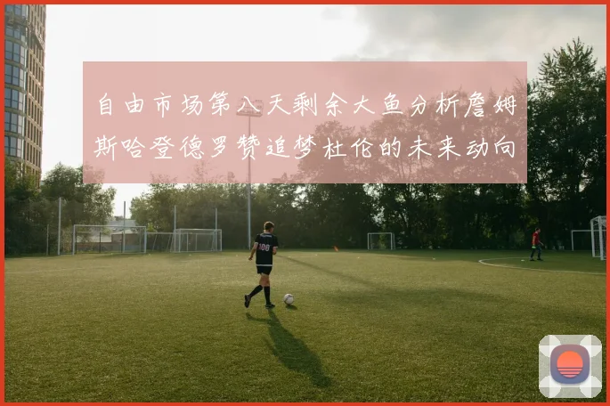 自由市场第八天剩余大鱼分析詹姆斯哈登德罗赞追梦杜伦的未来动向